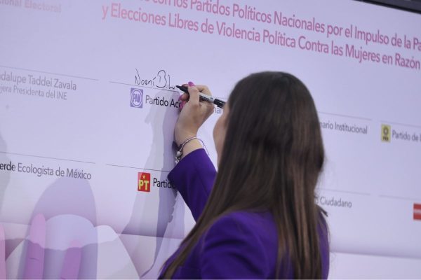 partidos políticos violencia mujeres