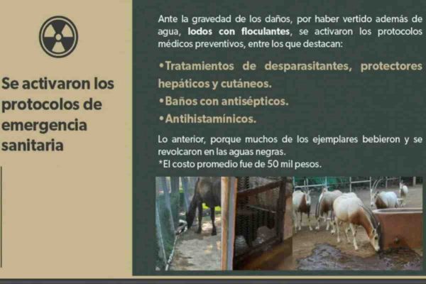 daños zoológico de morelia
