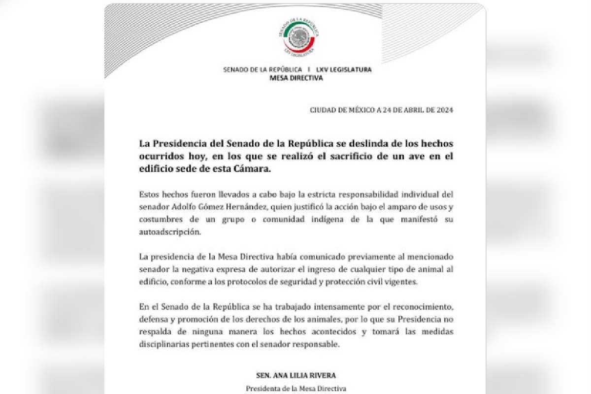 sacrifican gallina senado