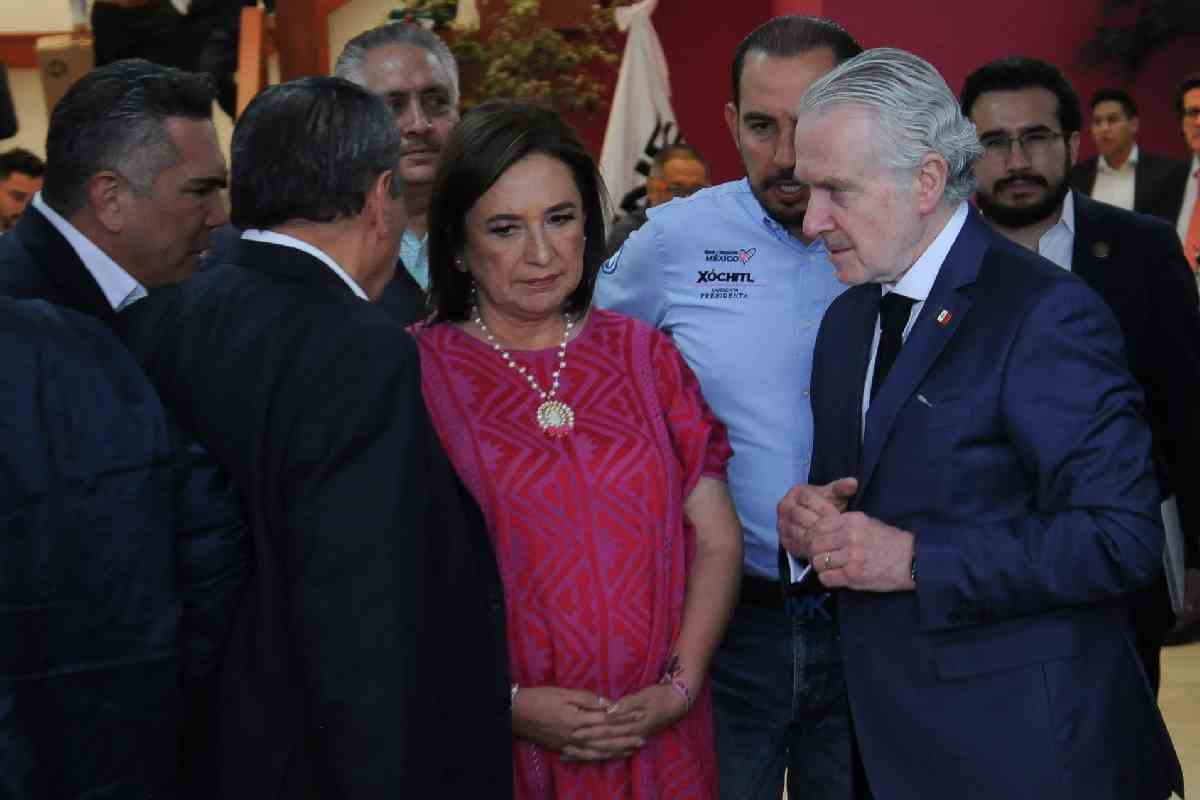 xochitl galvez ine