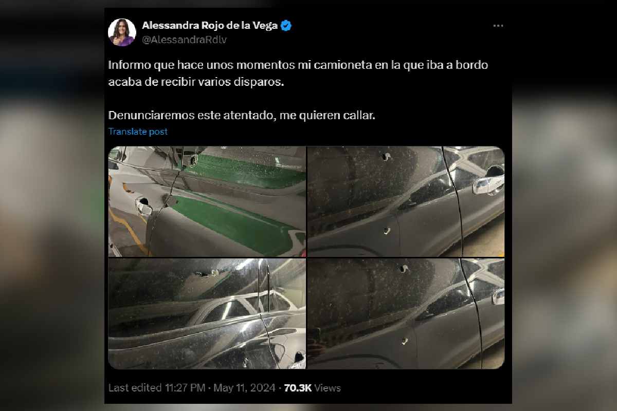 Alessandra-Rojo-delaVega-agresion