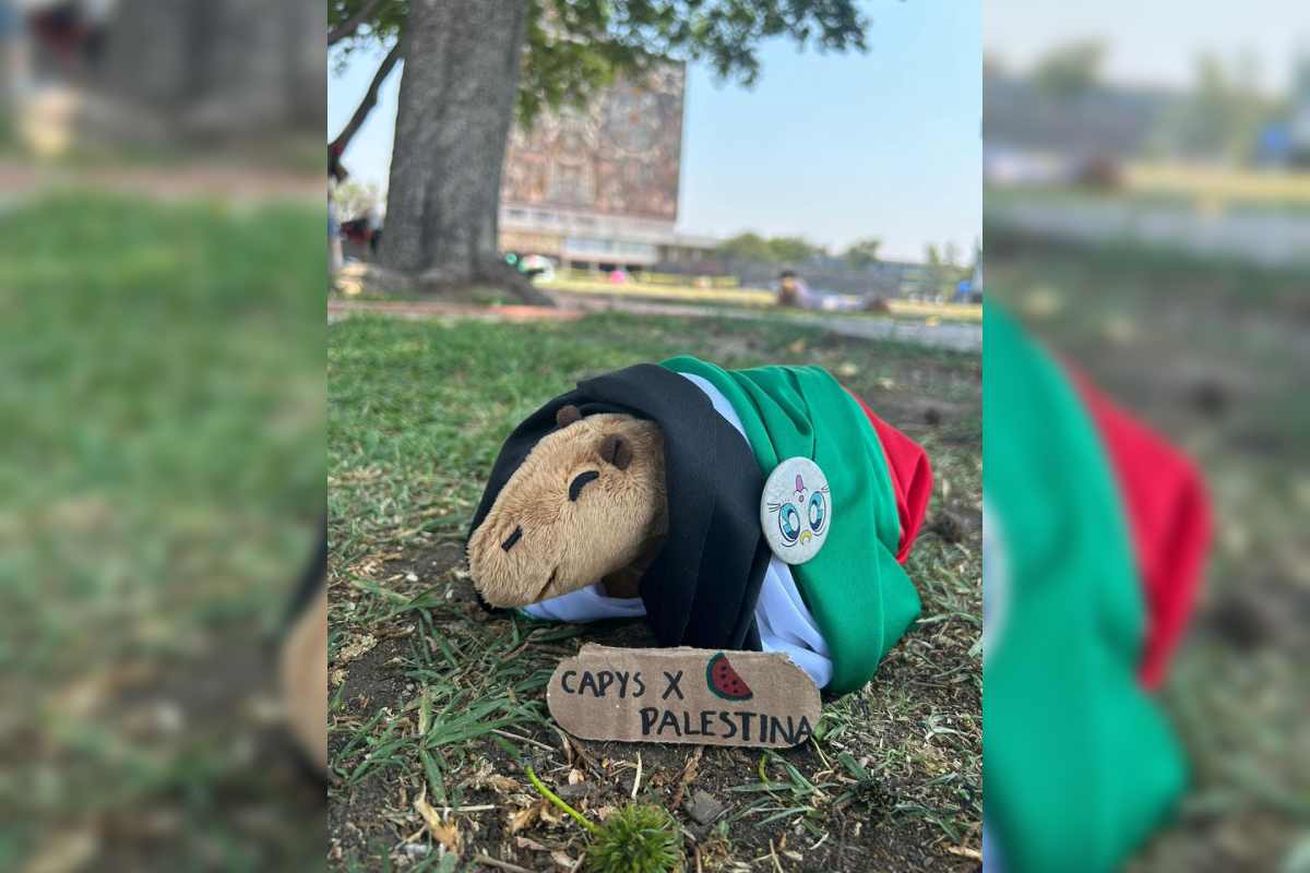 Un capibara de peluche en el campamento interuniversitario pro Palestina en la UNAM.