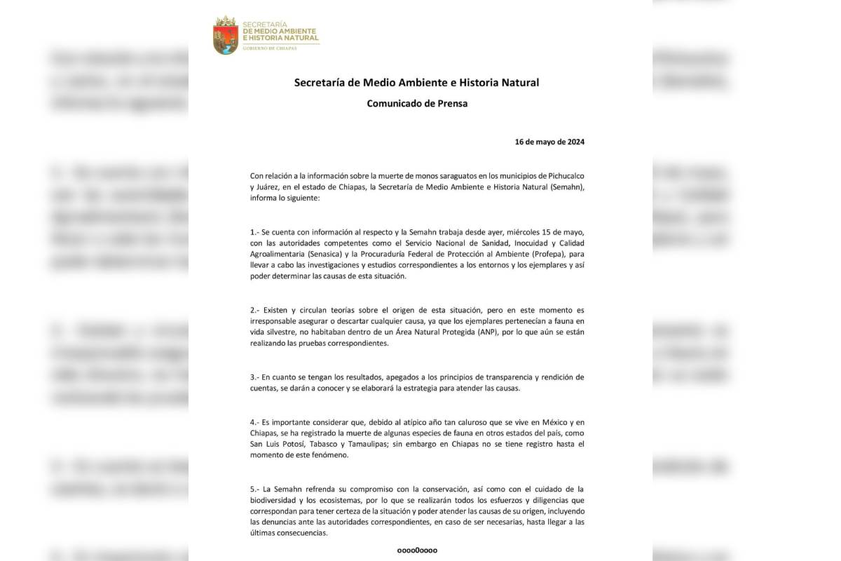 Comunicado de prensa de la Semahn sobre la muerte del mono saraguato