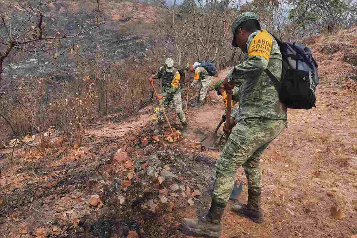 Trabajos para combatir incendios forestales en Guerrero