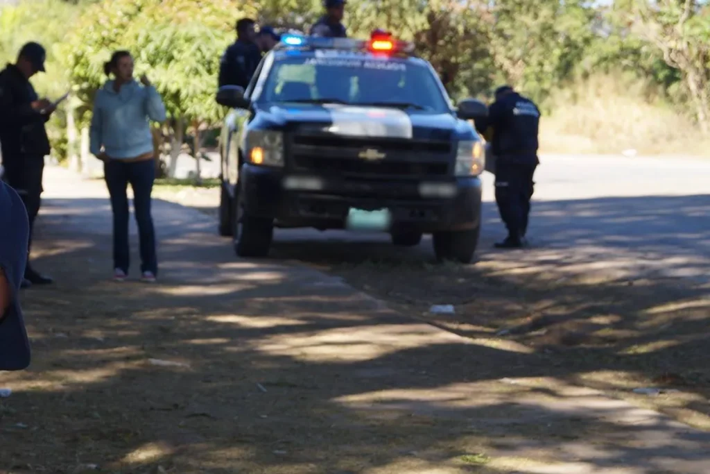 Asesinan a dos jóvenes en Petatlán al volver a su pueblo tras siete meses desplazados Foto: Amapola.