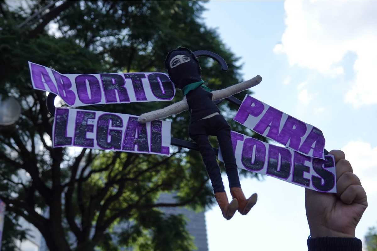 aborto chihuahua