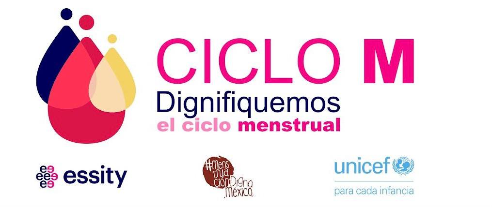 ciclo menstrual