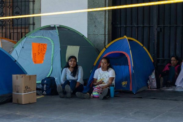 cnte zócalo marea rosa