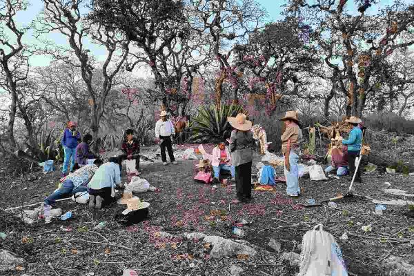 habitantes de comunidades de tepelmeme apoyan en los combates al incendio de la Reserva de la Biósfera Tehuacán-Cuicatlán