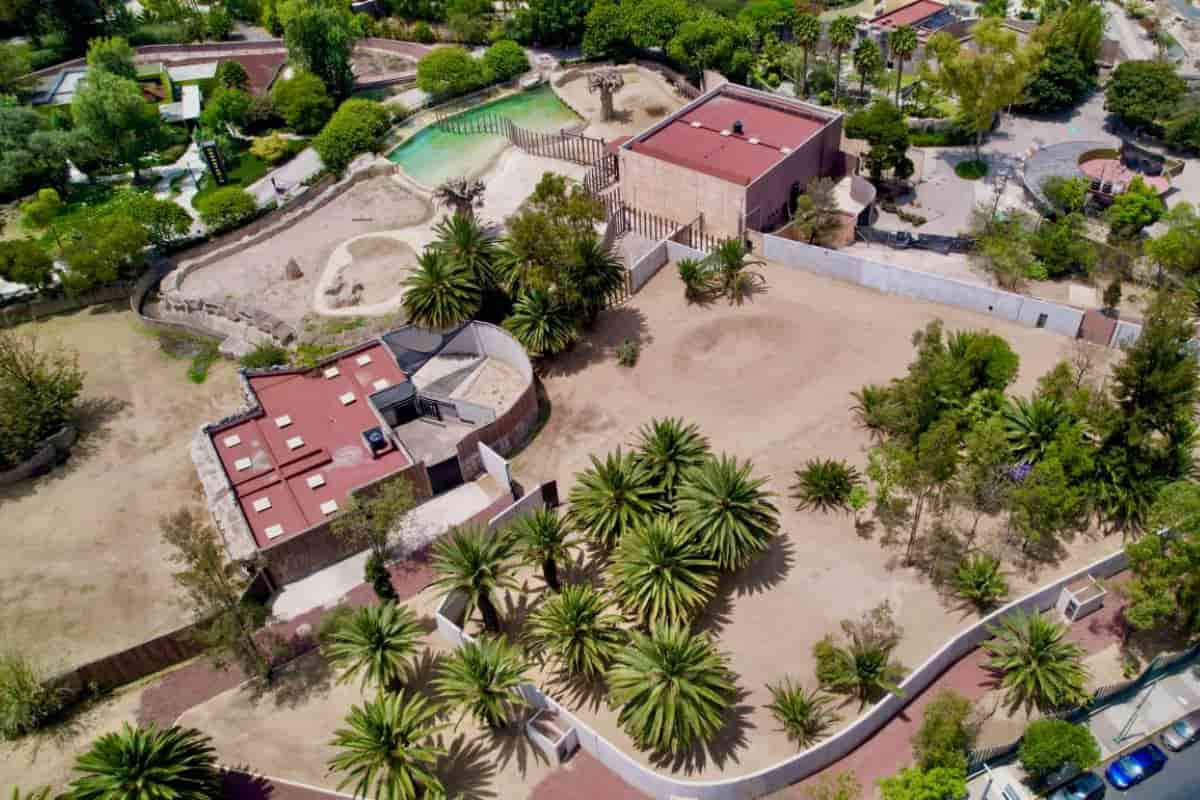 elefanta ely zoologico de san juan aragón
