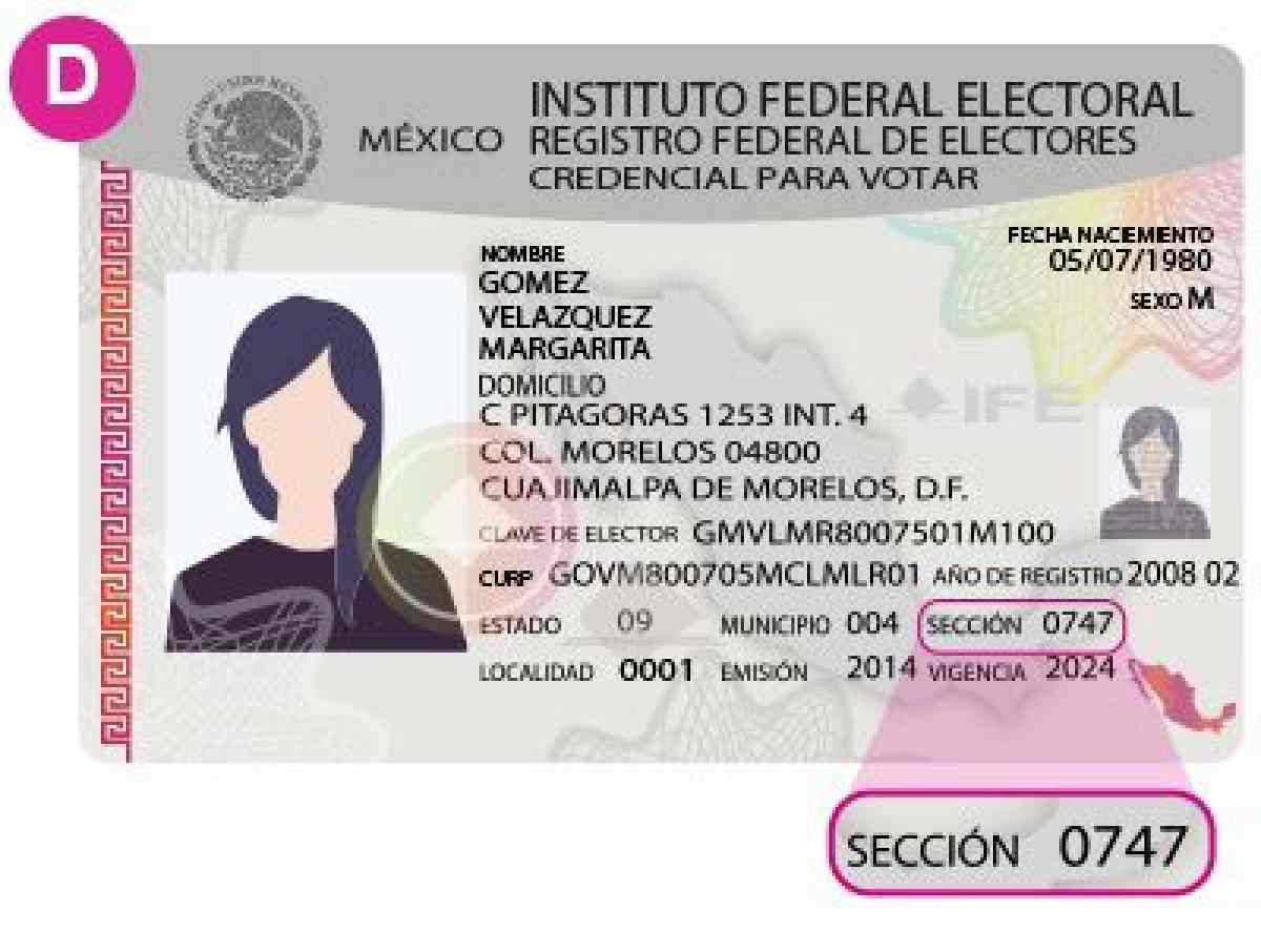 guia para votar