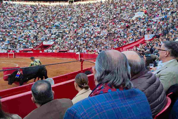 público durante las corridas de toros en la plaza méxico en cdmx