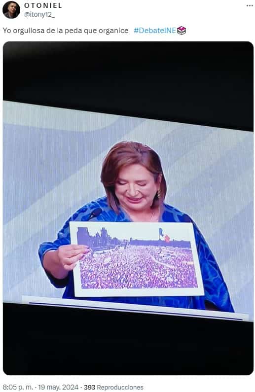 marea rosa xochitl galvez