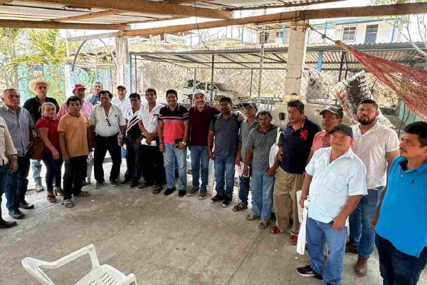 candidato de guerrero suspende actos públicos de campaña