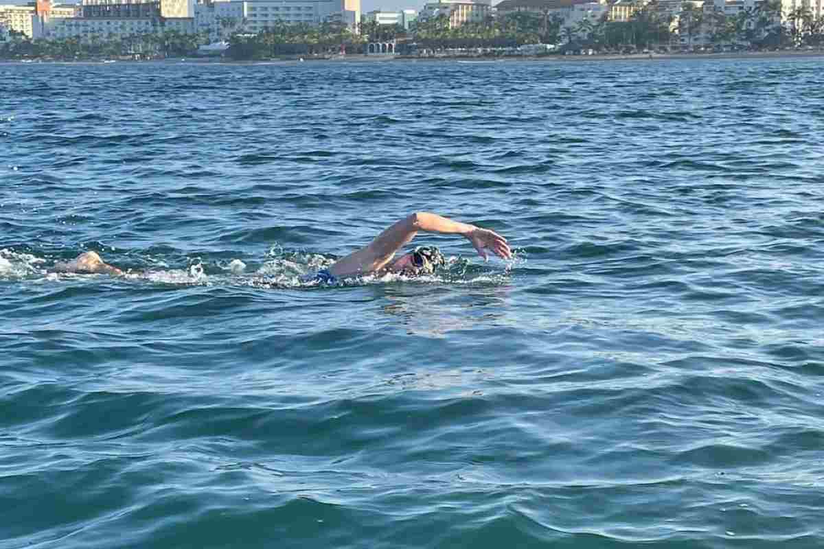 ballena jorobada