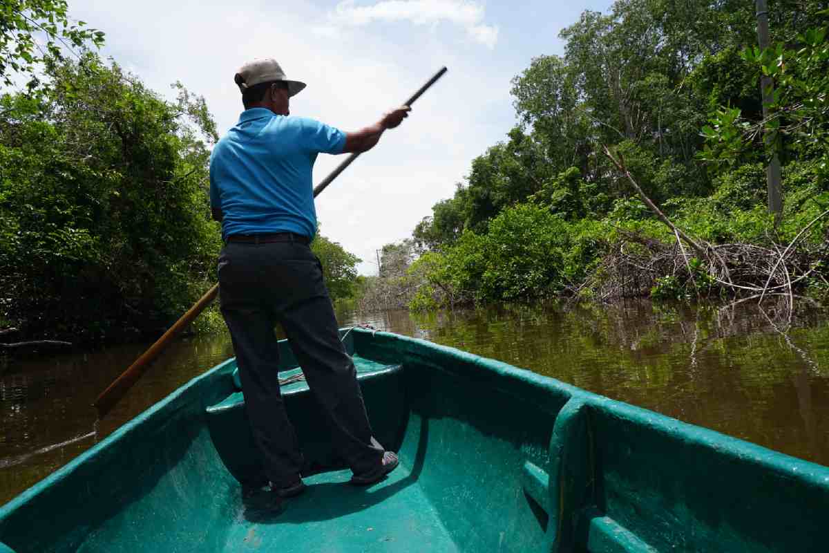 humedal manglar Tabasco México