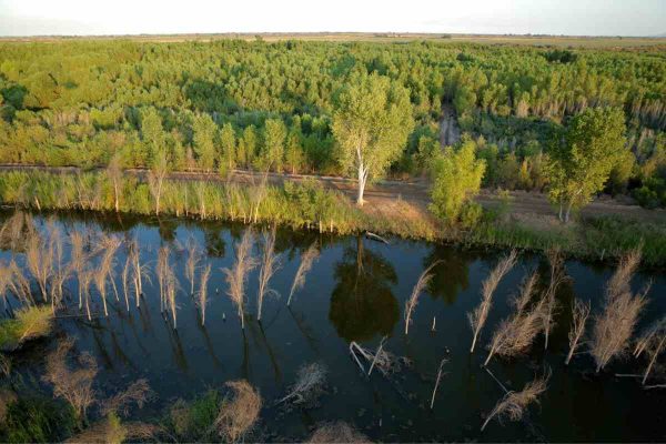 Laguna Grande CILA 