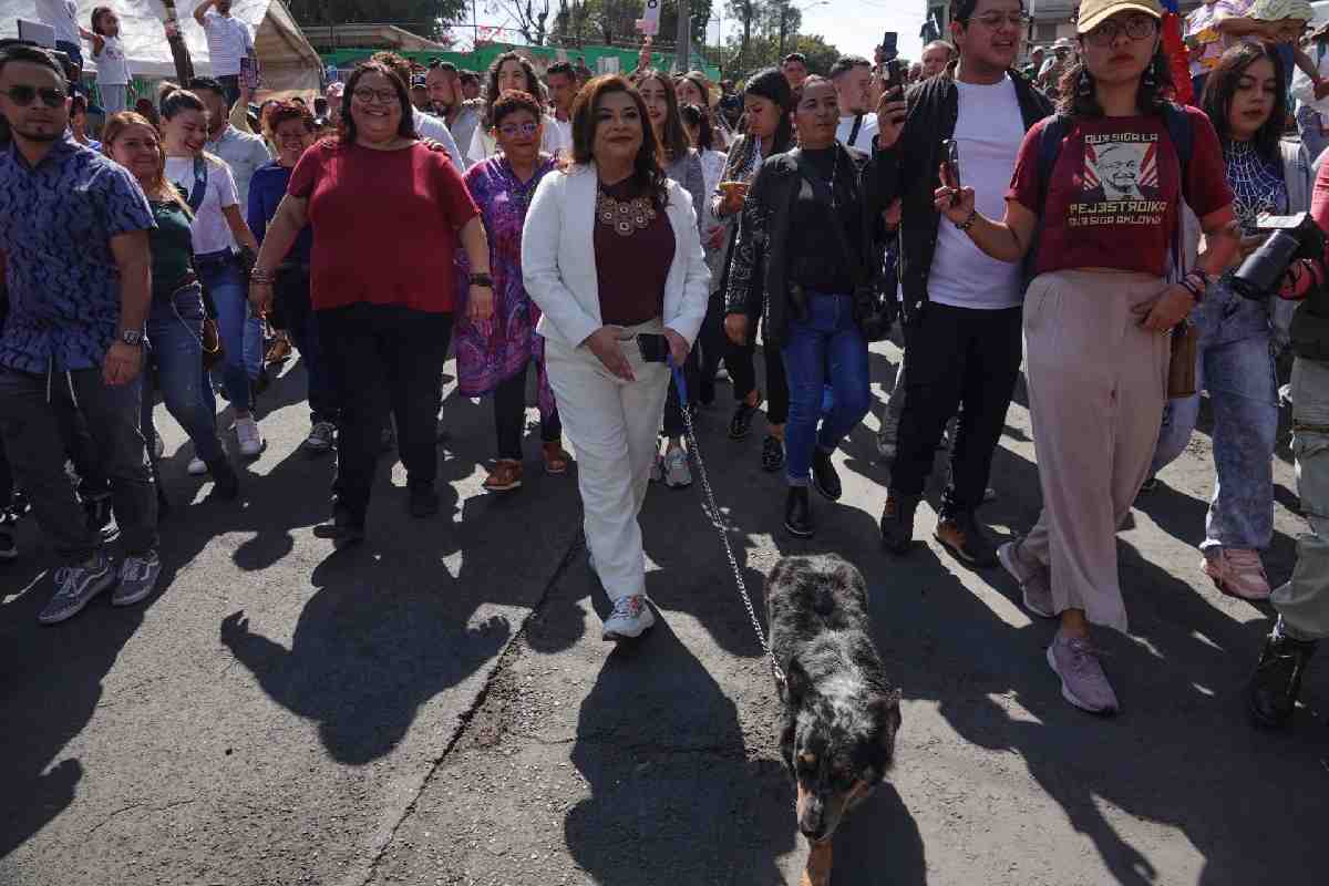 clara brugada morena