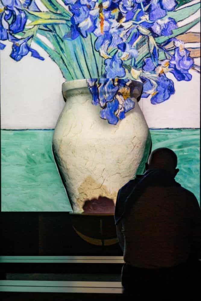 expo van gogh cdmx