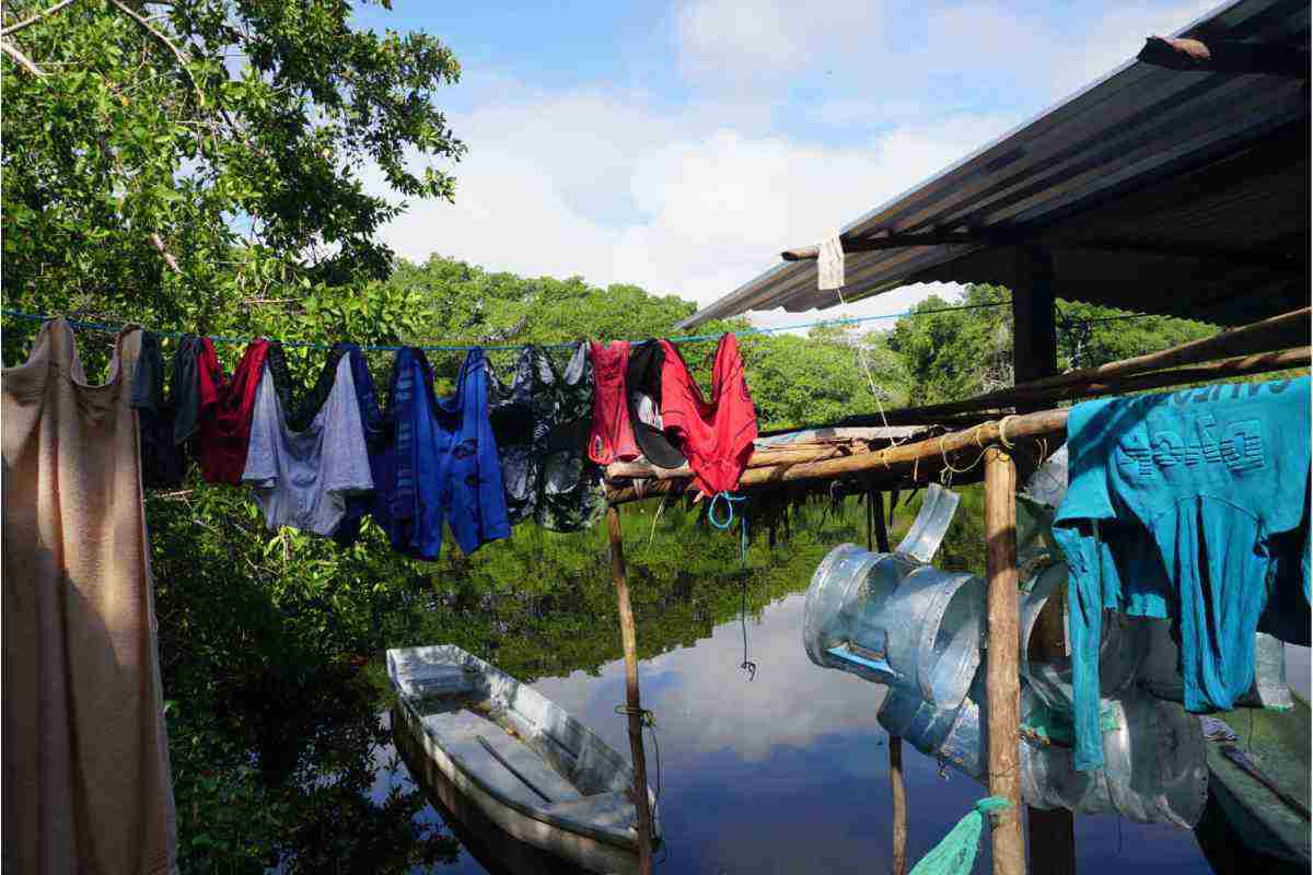 humedal manglar Tabasco México