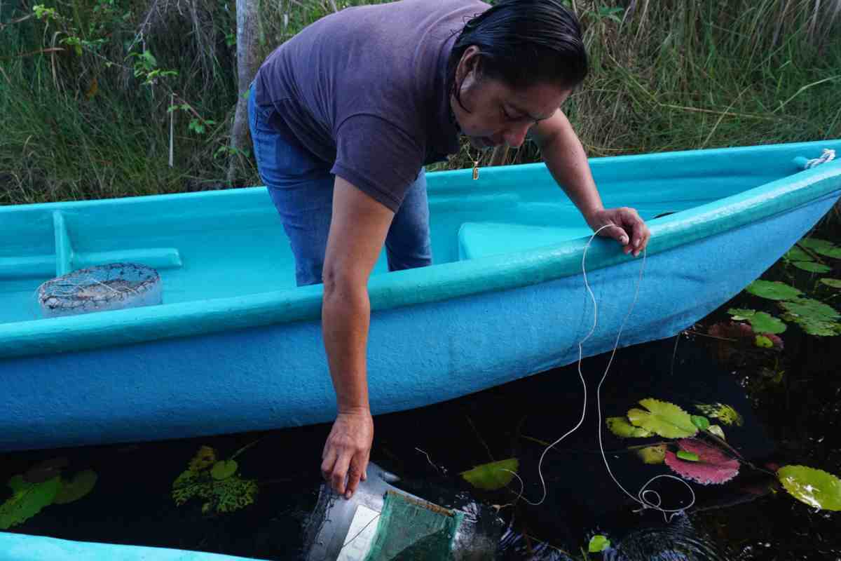 humedal manglar Tabasco México