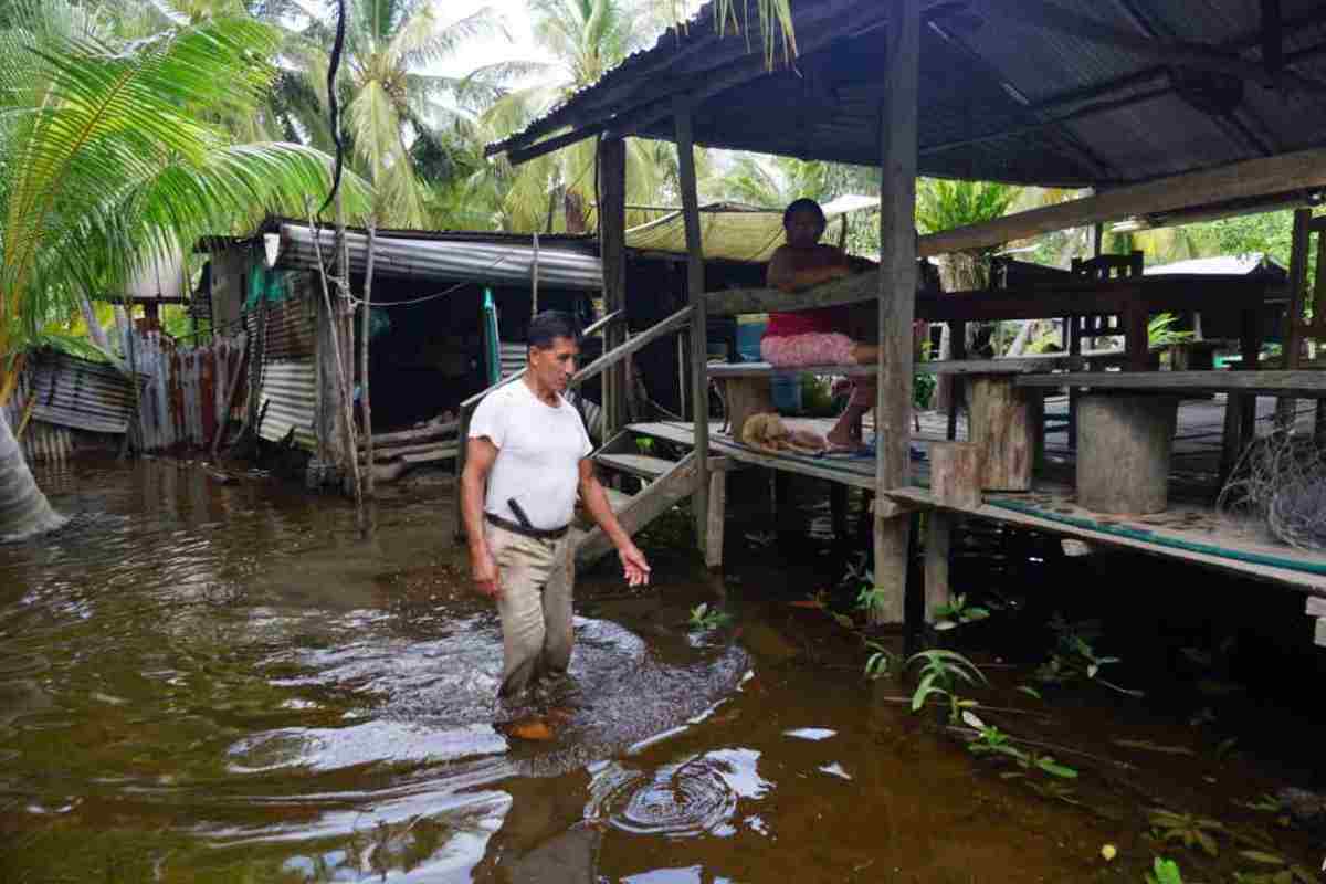 humedal manglar Tabasco México