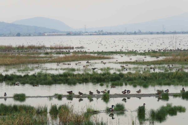 Área de Protección de Lago de Texcoco