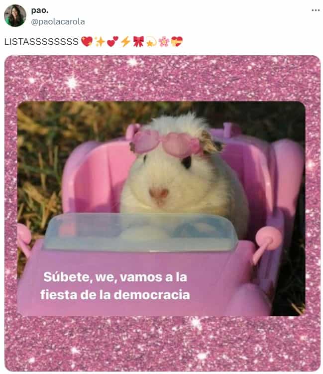 memes elecciones 2024