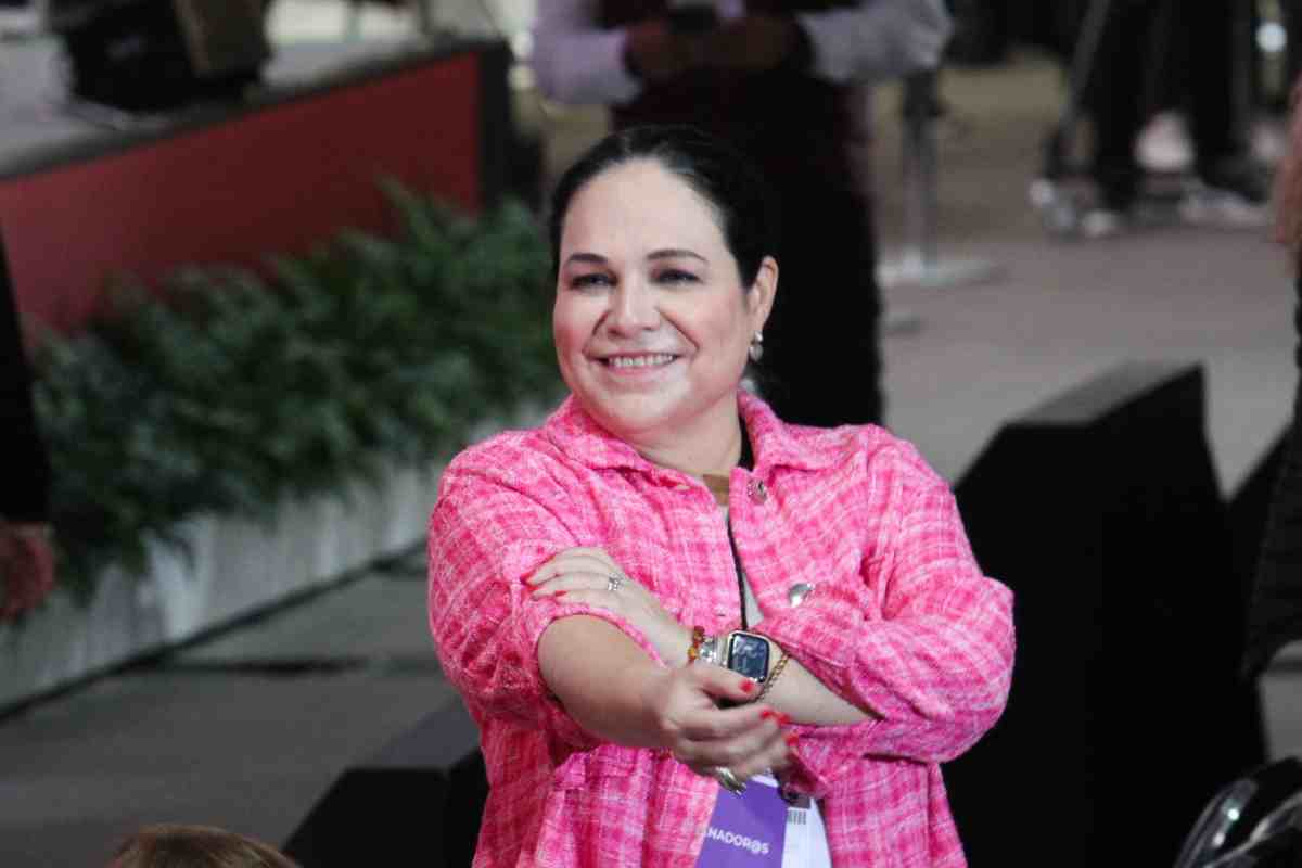 senadora monica fernandez morena reforma judicial foros ministros legisladores amlo