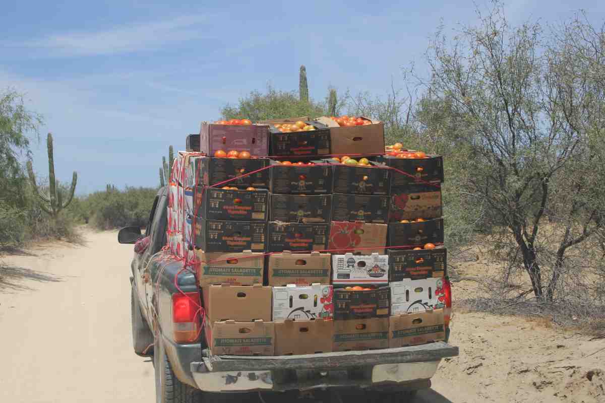 Agricultura méxico cambio climático Baja California