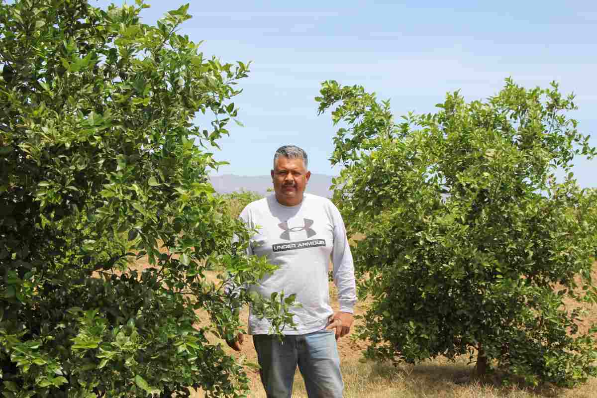 Agricultura méxico cambio climático Baja California