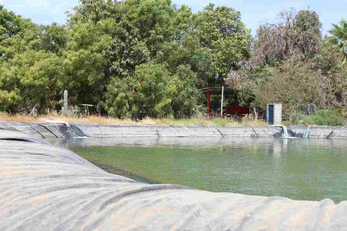 Agricultura méxico cambio climático Baja California