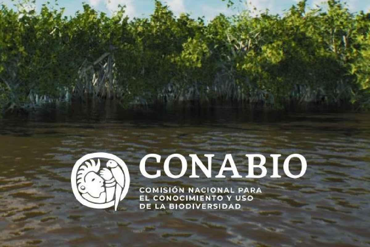 Denuncias por saqueo de plazas y perfiles inadecuados ponen en ...