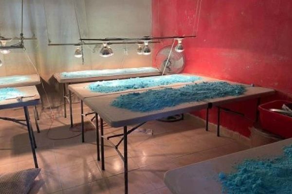 Centro de manufactura de pastillas de fentanilo en Culiacán
