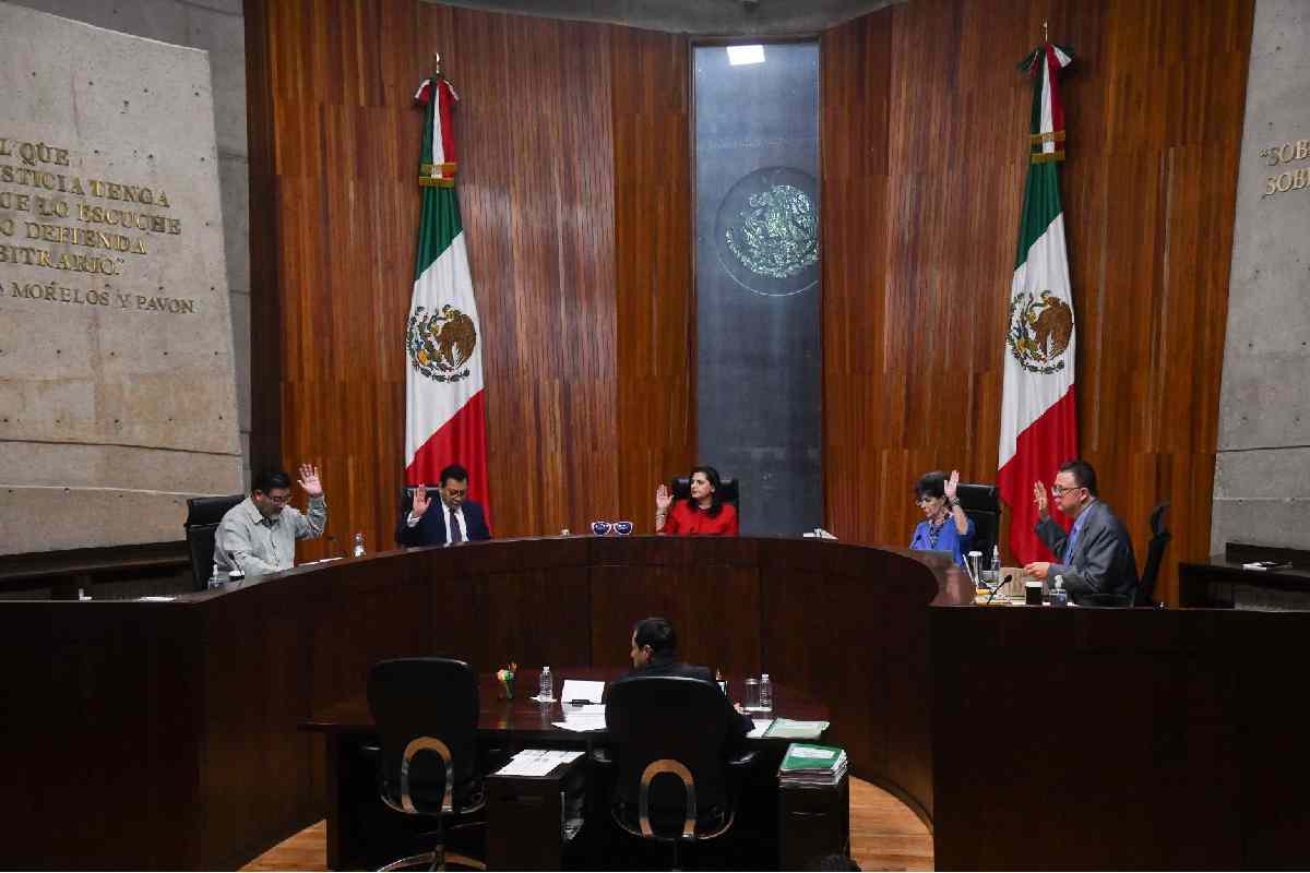 amlo tribunal electoral