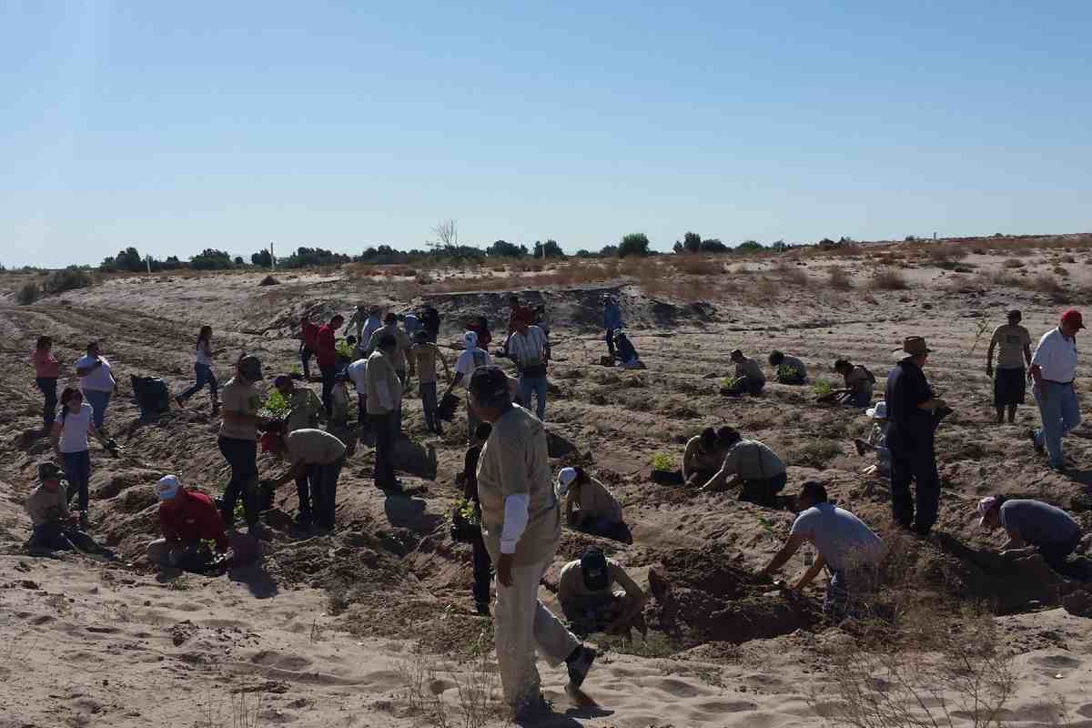 Delta del río Colorado