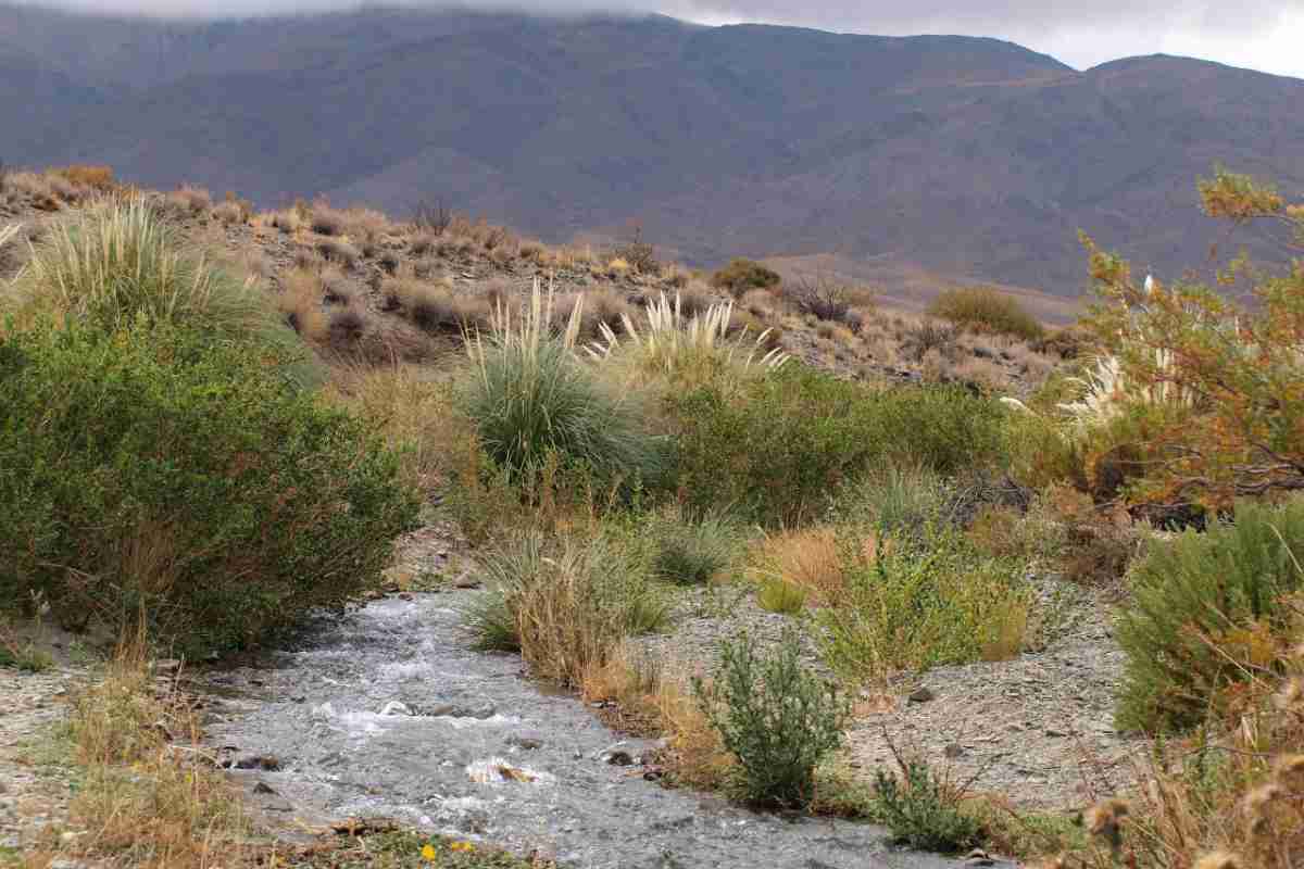Arroyo El Leoncito. Foto: Pedro Cenoz