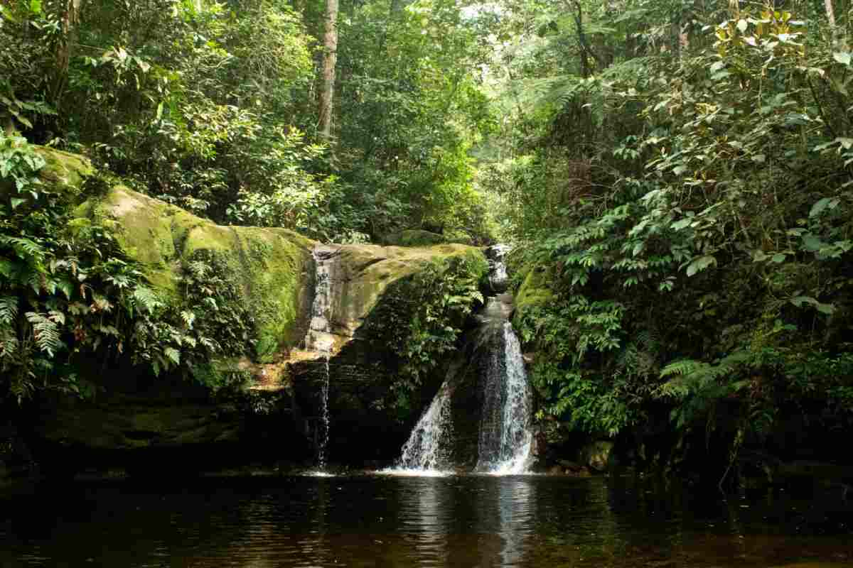 Cascada Shintuya, en el Parque Nacional del Manu. Foto: Foto: Daniel Ash Photography (@danielashphoto)