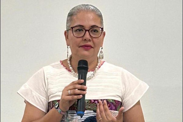 Gabriela Domínguez Nava, próxima diputada federal