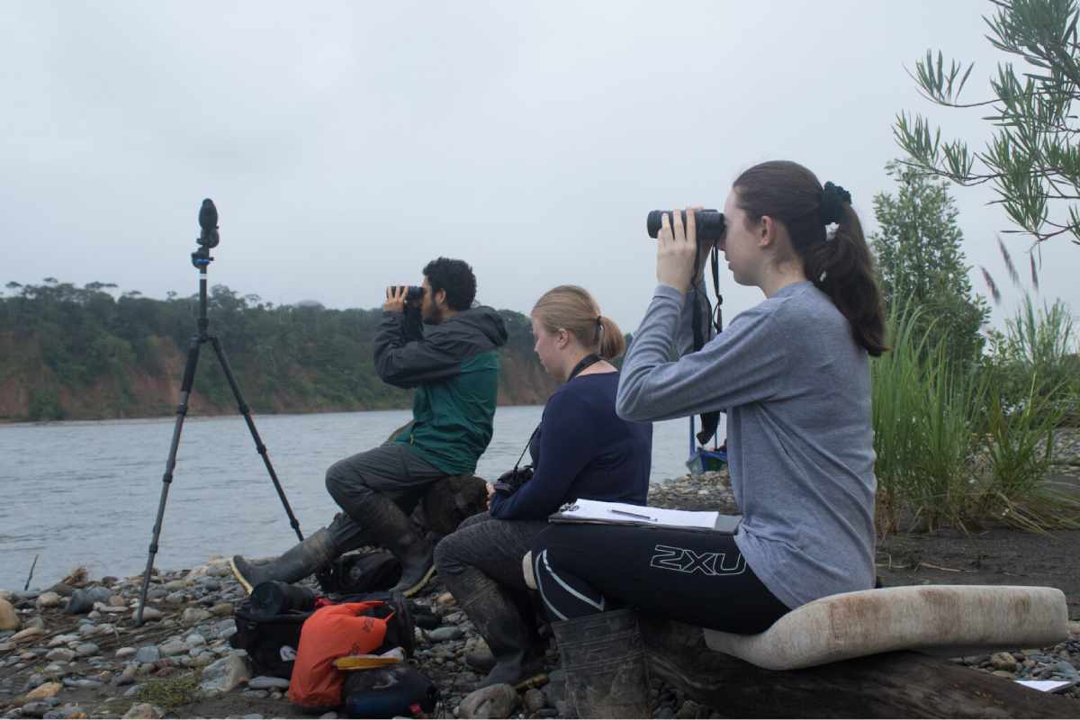 Monitoreo de psitácidos en la Collpa de Guacamayos – Mascoitania. Las actividades inician en la madrugada, donde el equipo conformado por investigadores, internos y voluntarios realizan el avistamiento de guacamayos, loros y periquitos al amanecer. Foto: Daniel Ash Photography (@danielashphoto)