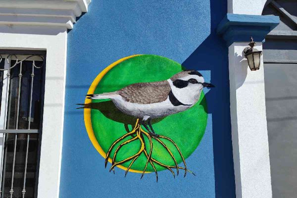 Mural-chorlo-nevado