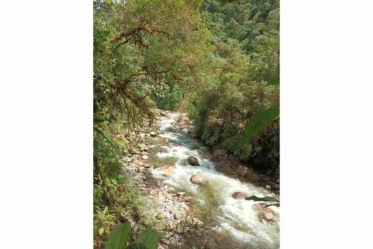 Los paisajes del Parque Nacional Sumaco Napo-Galeras. Foto: Archivo Guardaparques Sumaco