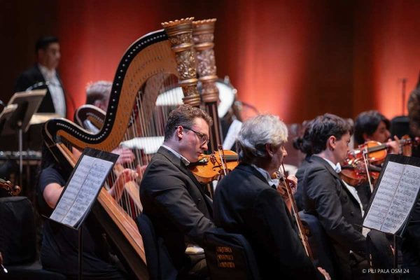 Concierto con causa