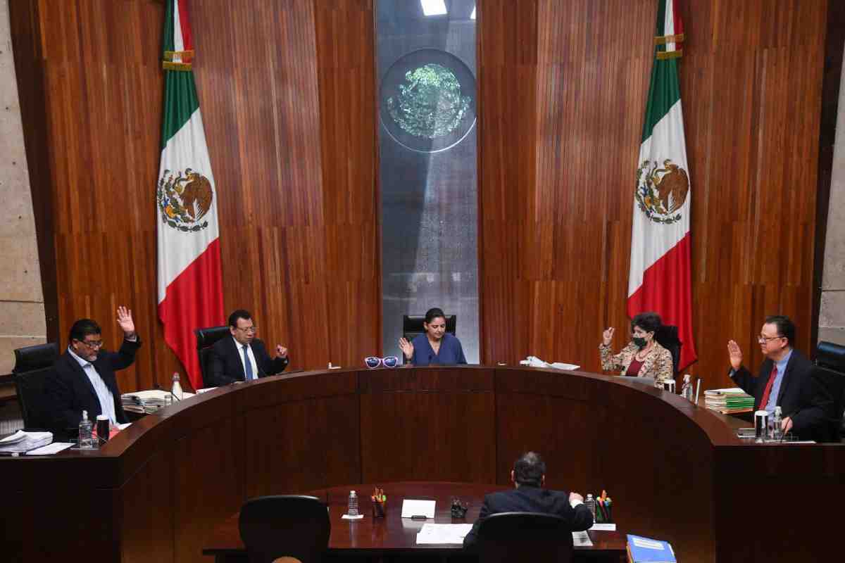 amlo luisa maria alcalde tribunal electoral validez elección amlo segob