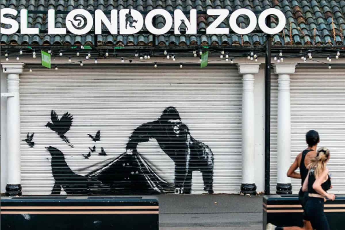 banksy zoo londres