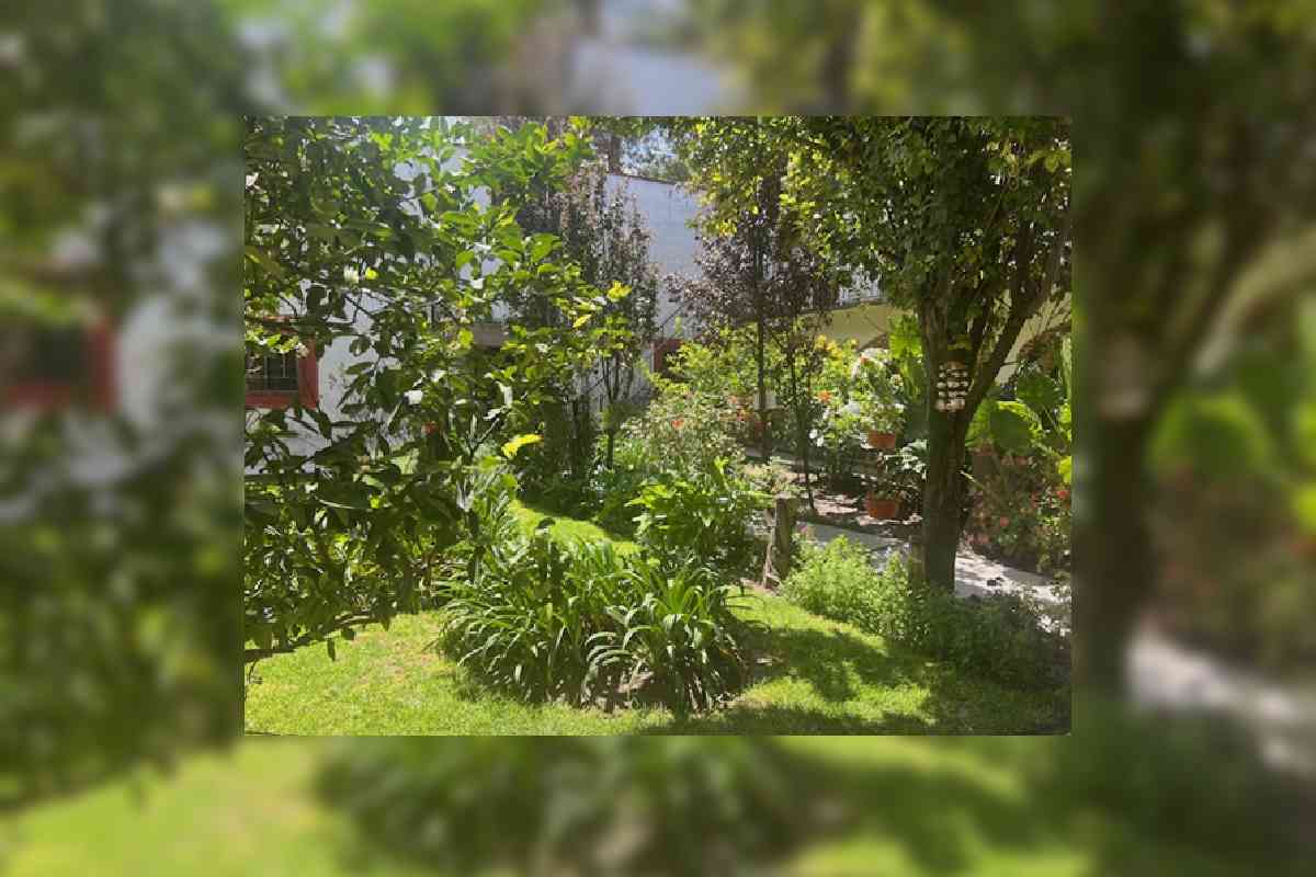 Foto: Rubén Aguilar