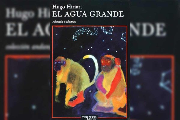 el agua grande reseña