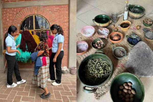 Rosa y Shanni, estudiantes oaxaqueñas que diseñaron un filtro para el agua.