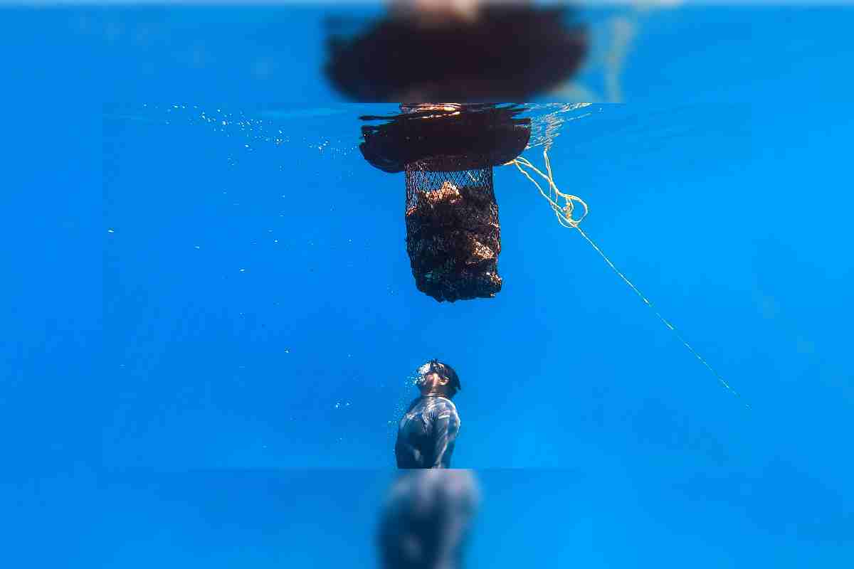 Foto de Ivaín Castaneira, fotoperiodista ambiental.