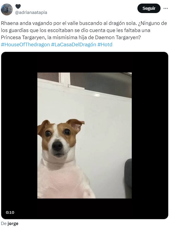 la casa del dragon 2x08 memes rhaena